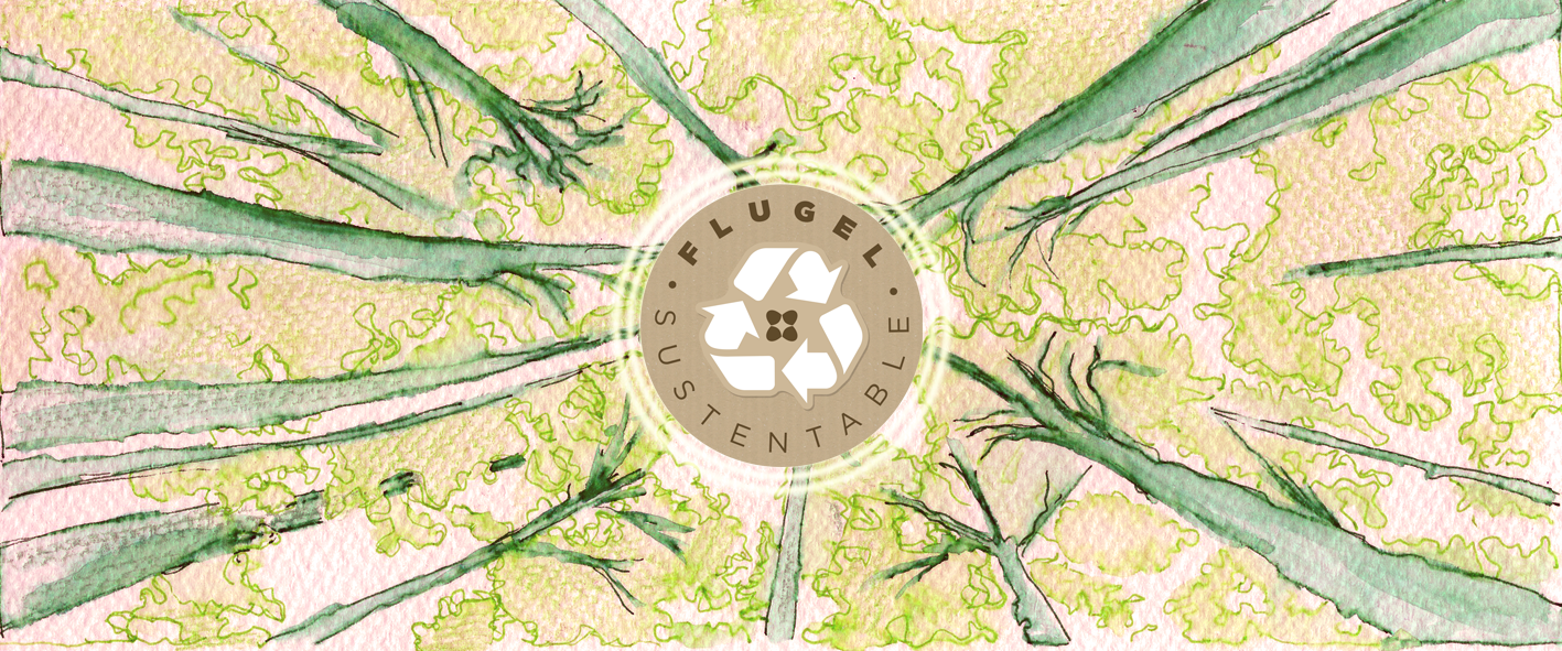 sustentabilidade flugel